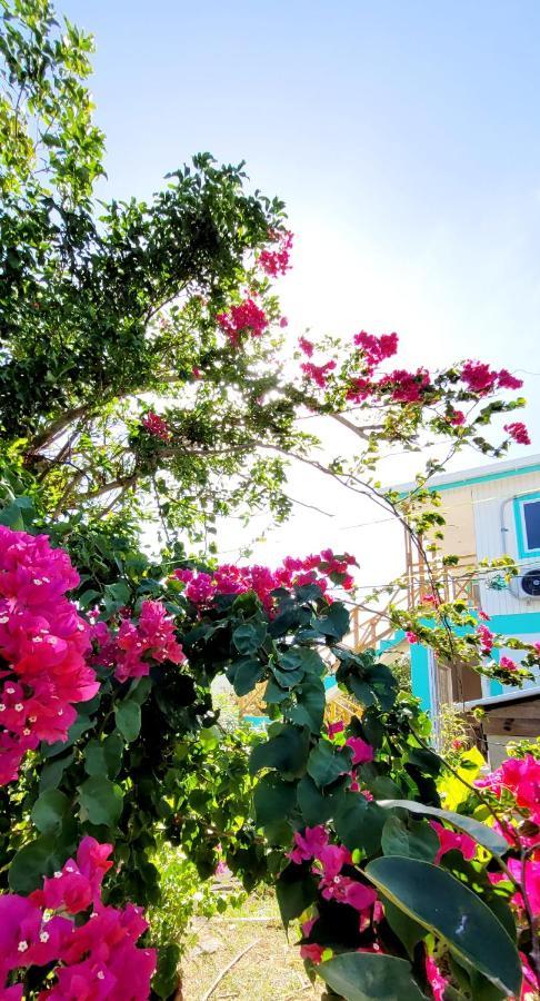 Colorful Garden House Bed & Breakfast Providencia  Eksteriør bilde